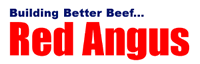 American Red Angus Association